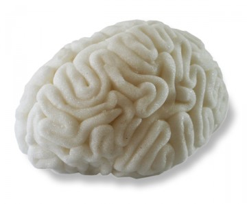 Peaklevel-suiker-hersenen